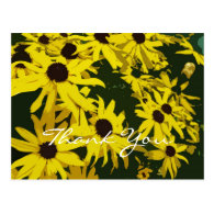 Thank you, yellow daisy flowers postcards