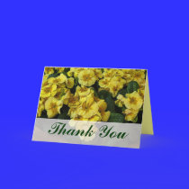 thank you yellow flowers cards