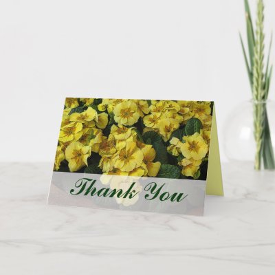 bunch of thank you flowers. thank you yellow flowers