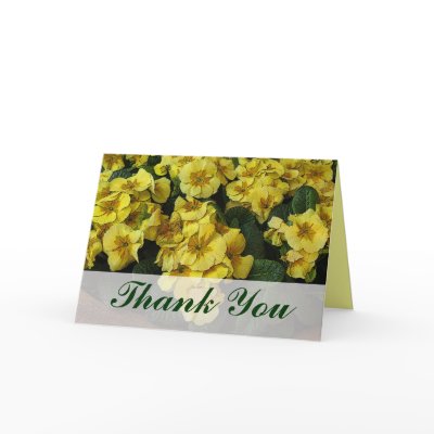 bunch of thank you flowers. thank you yellow flowers