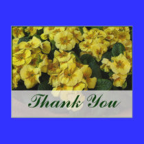 thank you yellow flowers postcards