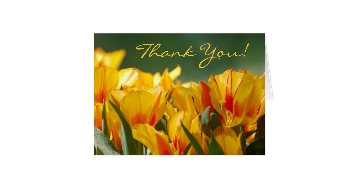 Thank You Yellow Tulips Card Zazzle