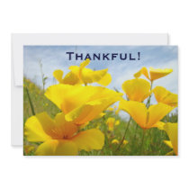 Thankful! Invitations Custom Volunteers Lunch