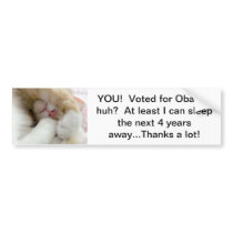 thanks a lot! bumper stickers
