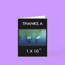 THANKS A MILLION - thank-you card by Horseshoes3 THANKS A MILLION - thank-you card