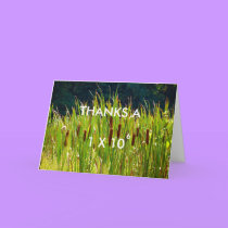 THANKS A MILLION - thank-you card by Horseshoes3 THANKS A MILLION - thank-you card