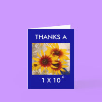 THANKS A MILLION - thank-you card by Horseshoes3 THANKS A MILLION - thank-you card
