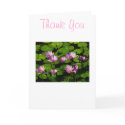 Thanks cards by sillychick312 Thanks cards