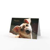 Thanks for being my friend cards