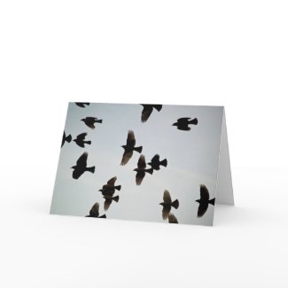 In association with Zazzle.com