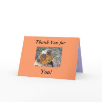 Thanks for you cards