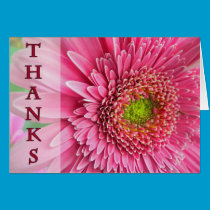 Thanks Gerbera cards
