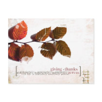 thanks giving post card postcards by clean_world thanks giving post card postcards
