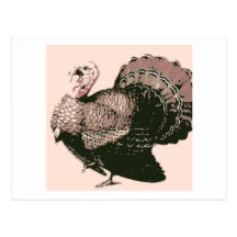 Thanks Giving Turkey Post Cards