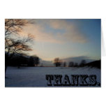 Thanks in the Snow cards