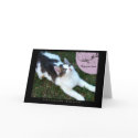 Thanks Life Lessons From A Cat Card by jaisjewels Thanks Life Lessons From A Cat Card