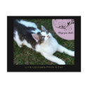 Thanks Life Lessons From A Cat Postcard by jaisjewels Thanks Life Lessons From A Cat Postcard
