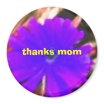 thanks mom magnets