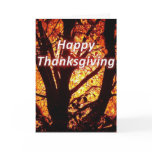Thanksgiving 1 Chronicles 16-8