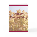 Thanksgiving 1 Thessalonians 5-18