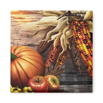 THANKSGIVING 2009 magnets