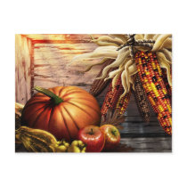 THANKSGIVING 2009 postcards