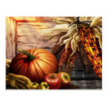 THANKSGIVING 2009 POSTCARD