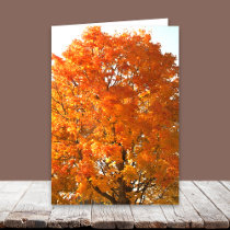 Thanksgiving Across the Miles Cards by KathyHenis Thanksgiving Across the Miles Cards