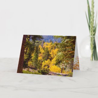 Thanksgiving and Fall Card card