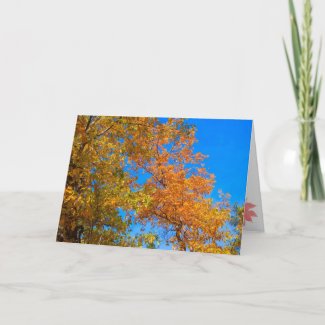 Thanksgiving and Fall Card 2 card
