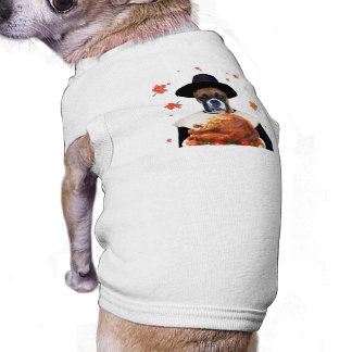 Thanksgiving Boxer Dog Dog Clothing