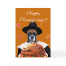 postcard - Thanksgiving boxer dog greeting card