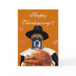 Thanksgiving boxer dog greeting card