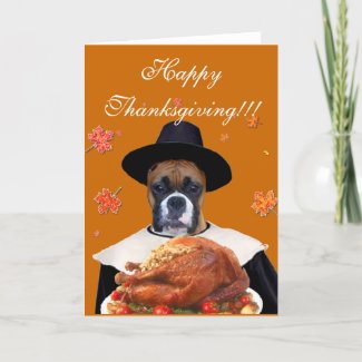 Thanksgiving boxer dog greeting card card