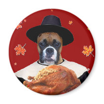 Thanksgiving Boxer Dog magnets