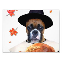 Thanksgiving Boxer Dog Photo Art