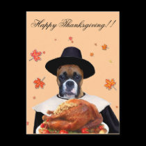 Thanksgiving boxer dog postcard