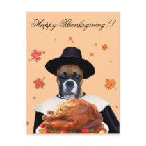 Thanksgiving boxer dog postcard by ritmoboxer Thanksgiving boxer dog postcard