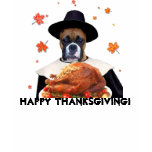 Thanksgiving Boxer Dog