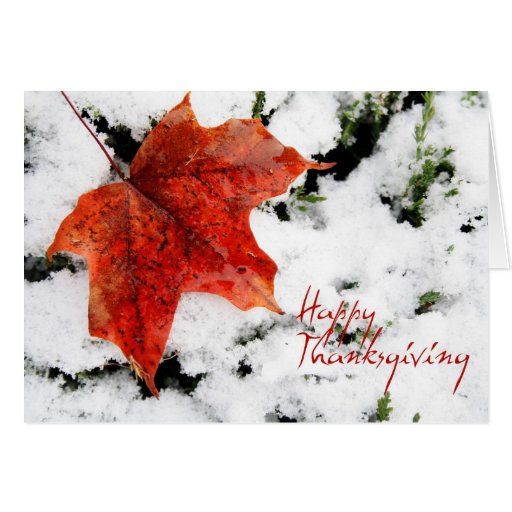 thanksgiving-canada-greeting-card-zazzle