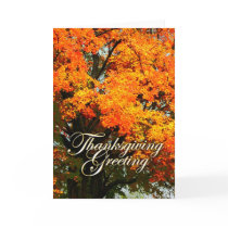 Thanksgiving Greeting Card