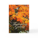 Thanksgiving cards by zemandemon Thanksgiving cards