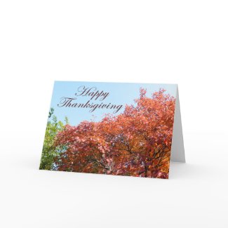 Thanksgiving Card card
