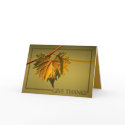 Thanksgiving Card