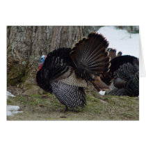 Thanksgiving Card by threesalamanders Thanksgiving Card