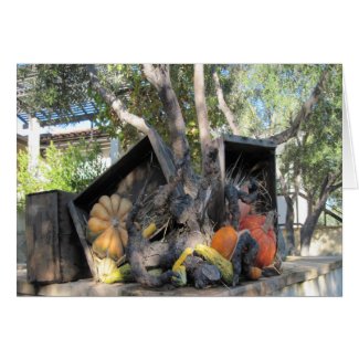 Thanksgiving Card: You Have Been a Blessing Greeting Card