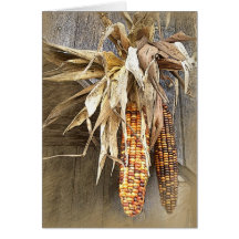 Thanksgiving Cards