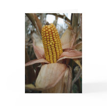 Thanksgiving Custom Card by NixxysPicks Thanksgiving Custom Card