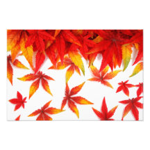 Thanksgiving Day Photo Print