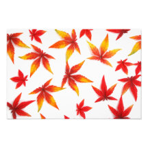 Thanksgiving Day Photo Print